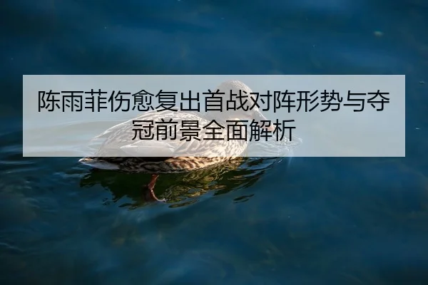 陈雨菲伤愈复出首战对阵形势与夺冠前景全面解析