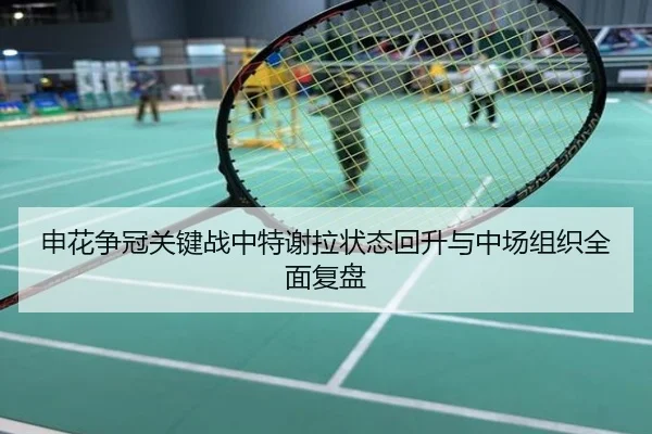 申花争冠关键战中特谢拉状态回升与中场组织全面复盘